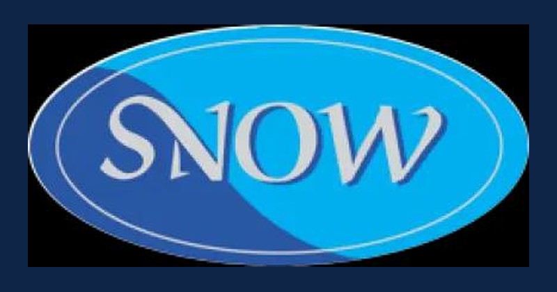 Snow 品牌标志 / Snow brand logo